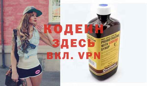 индика Баксан