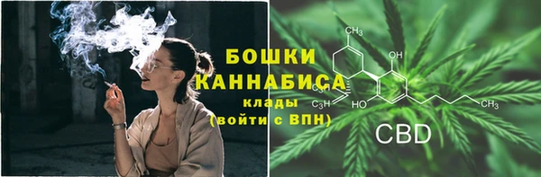 индика Баксан