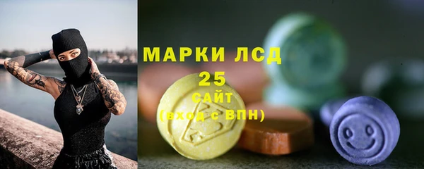 индика Баксан
