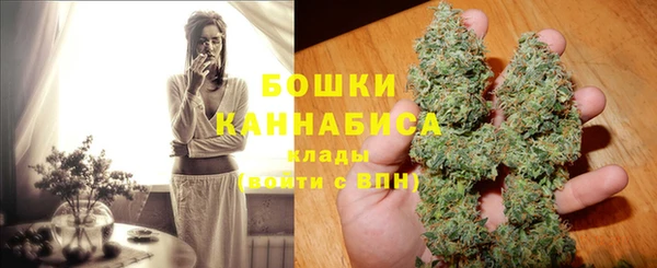 индика Баксан