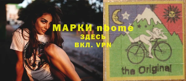 индика Баксан